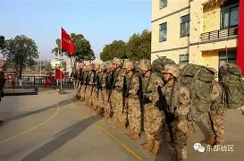 开云体育入口-亚马尔场场淘汰赛参与进球