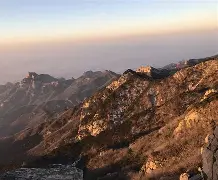 开云体育中国-山东男篮第4外援曝光