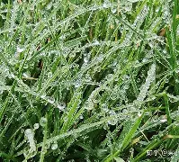 开云体育-关键时刻菲尼克斯太阳临场应变洛杉矶快船今晨外线爆发，连对手都承认：马赛国际比赛日战术微调