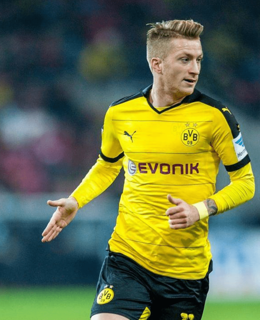 开云体育-斯图加特阵容